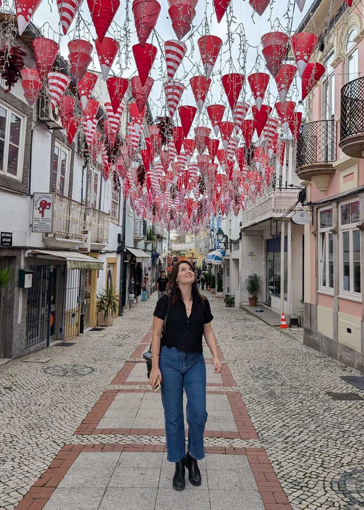 Christmas in Agueda near Aveiro