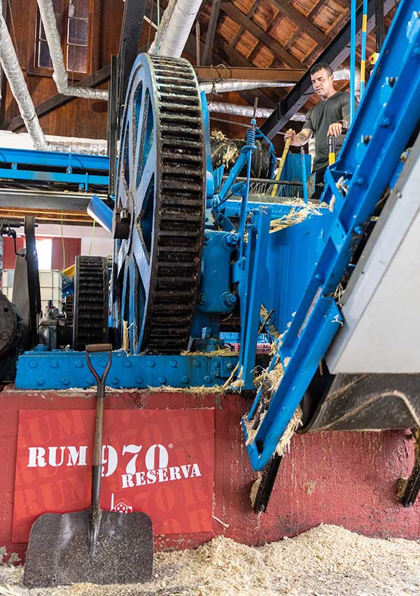 Engenhos do Norte Porto da Cruz Madeira Island