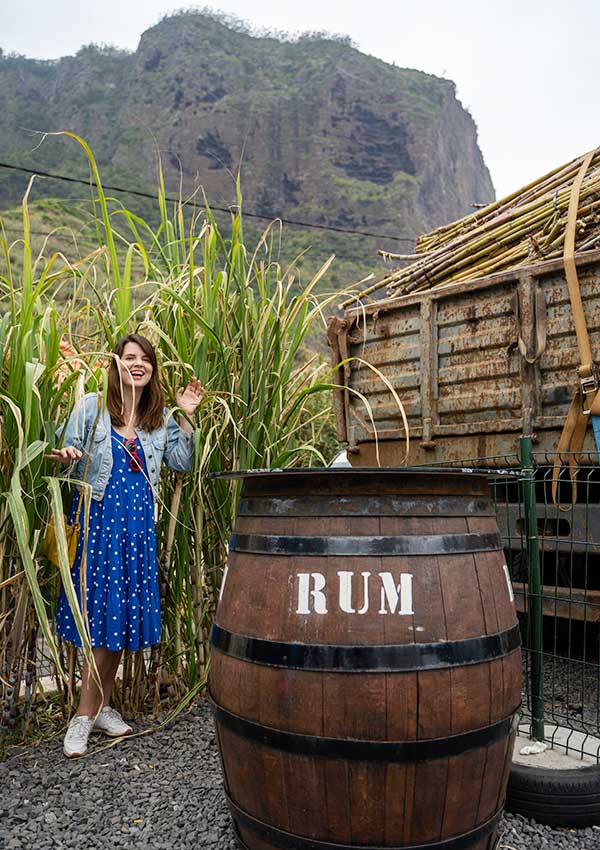 Engenhos do Norte Porto da Cruz Madeira Island