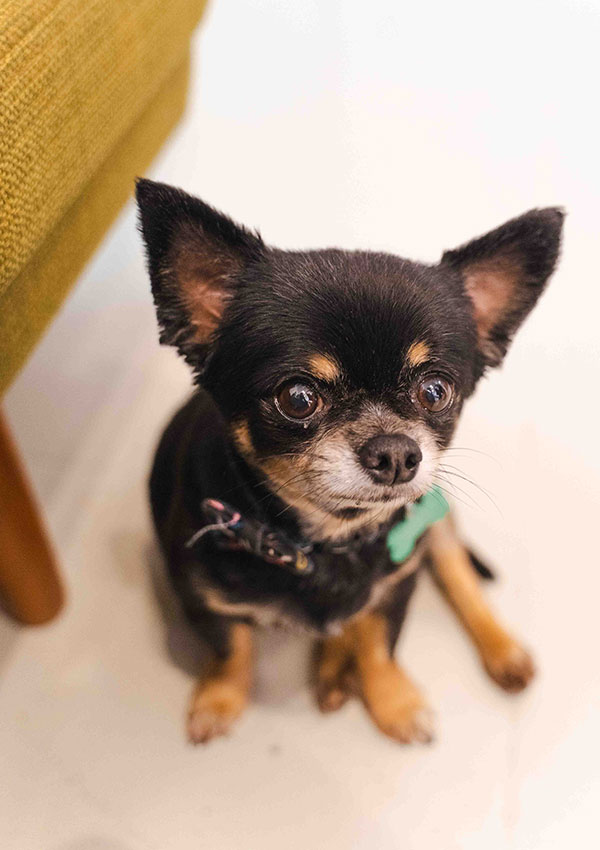 Made in Portugal sustainable Lisbon shopping at Mustique