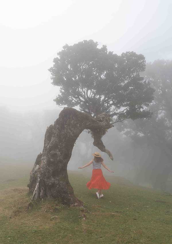 Faial Madeira Island