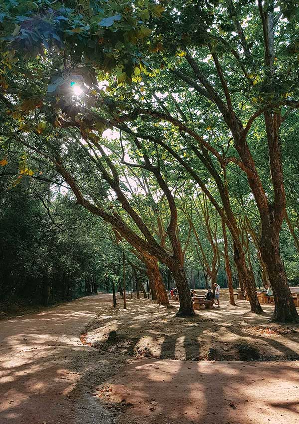 Things to do in Caldas da Rainha include wander the main park