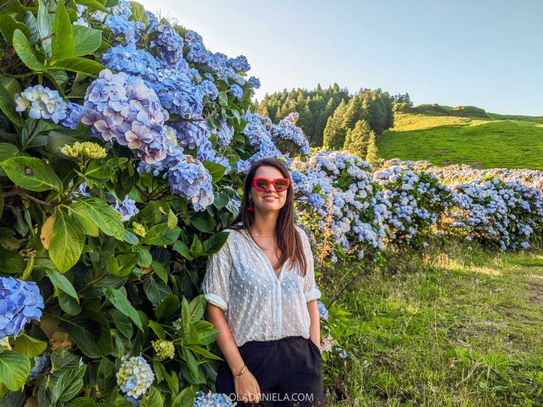 A woman in red sunglasses with thousands of hydrangeas on São Miguel Island, Azores